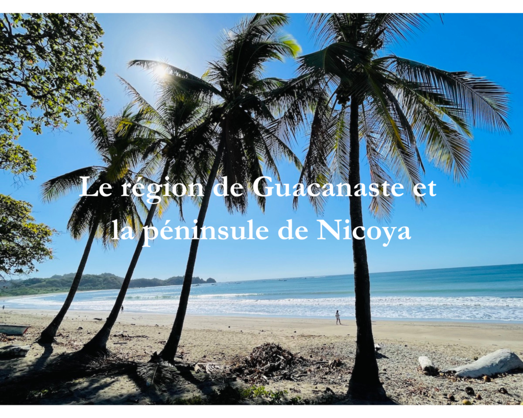 plage et palmiers, ce que l'on retrouve dans la région du Guacanaste au Costa Rica
